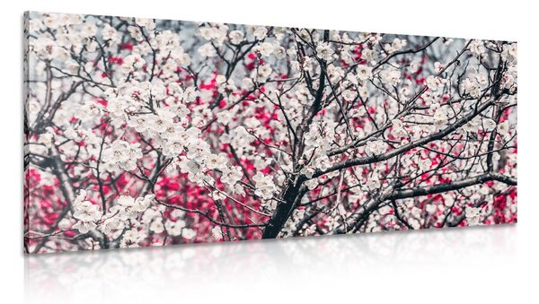 Tablou flori de piersică
