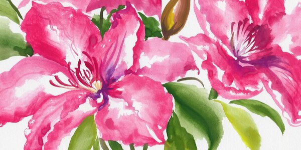 Tablou flori magnifice