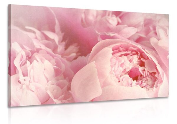 Tablou petale ale florilor