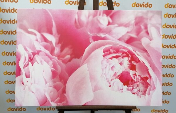 Tablou petale ale florilor
