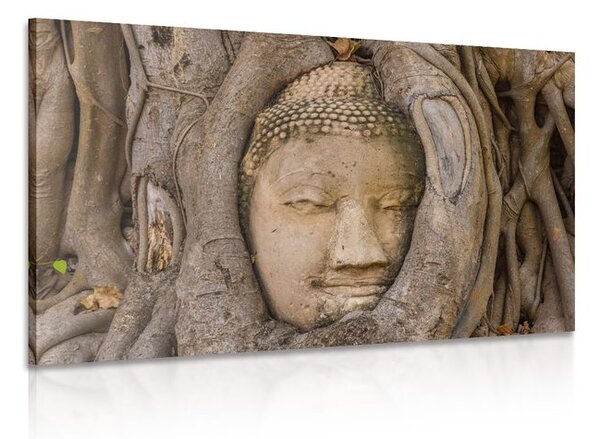 Tablu Budha și smochinul sacru