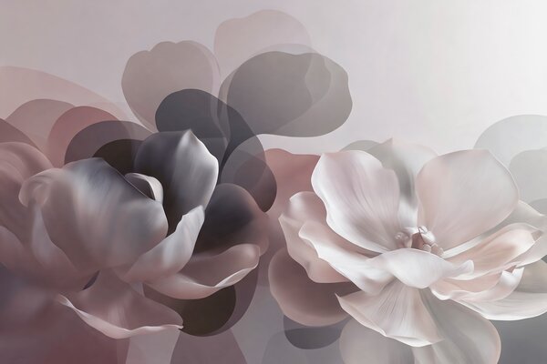 Tapet Compoziție florală abstractă cu magnolii, Fototapet Flori, w09930 : Uwalls.ro
