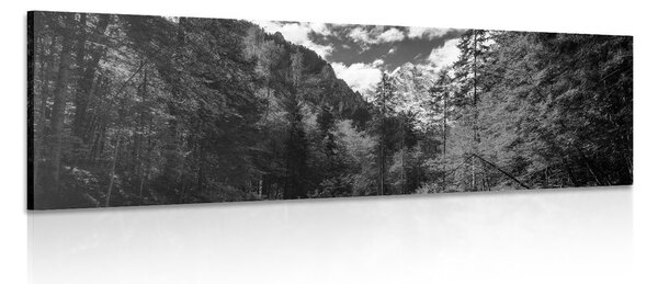 Tablou peisaj carpatin alb-negru