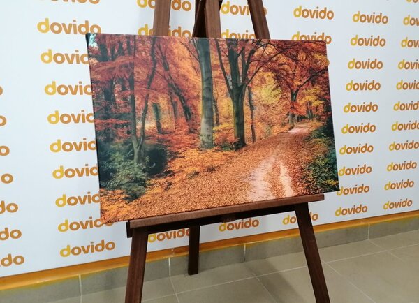 Tablou pădure în perioada de toamnă