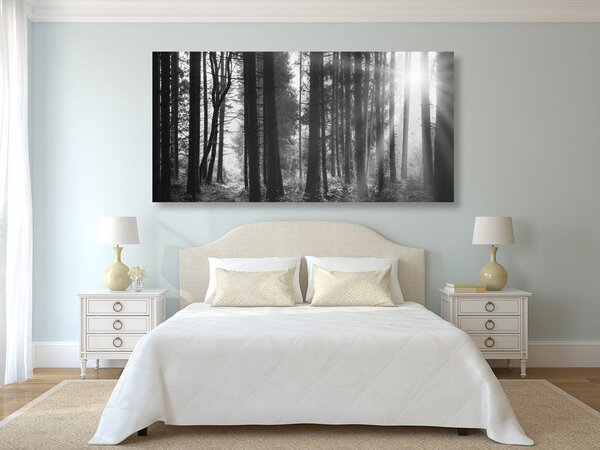 Tablou pădure luminată de soare în design alb-negru