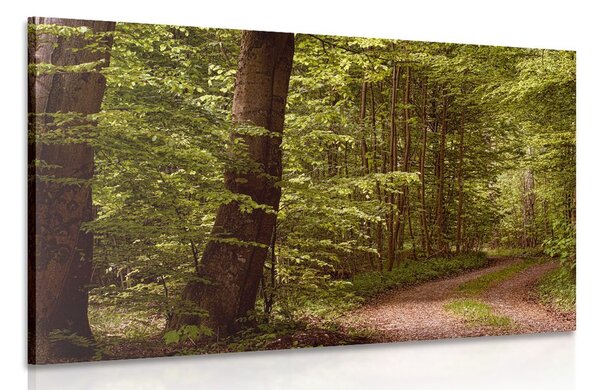 Tablou pădure verde