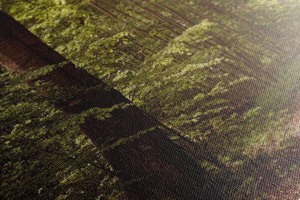 Tablou pădure verde