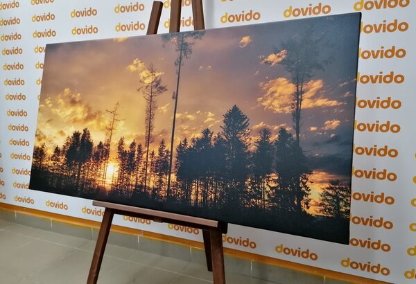 Tablou seara devreme în pădure