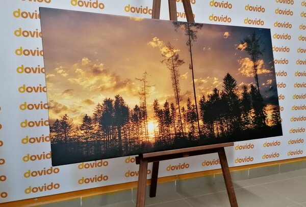 Tablou seara devreme în pădure