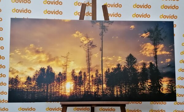 Tablou seara devreme în pădure