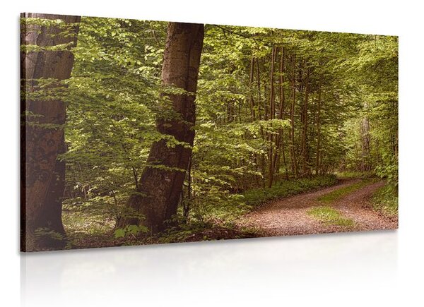 Tablou pădure verde