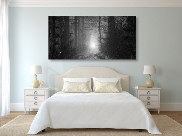 Tablou lumina în pădure în design alb-negru