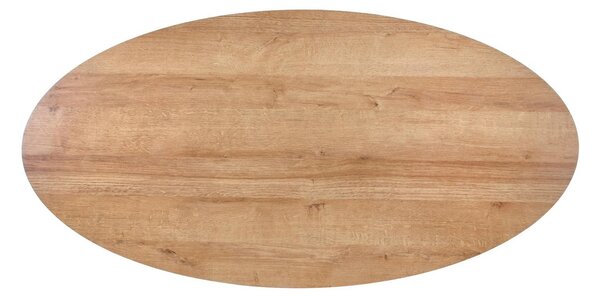 Masuta cafea CAROLINA, stejar auriu/negru, 120x60x41 cm