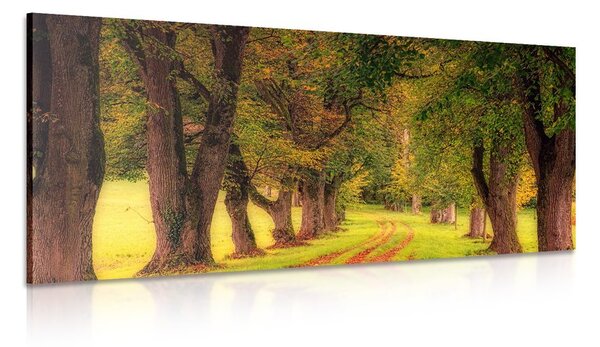 Tablou alee prin pădure de toamnă