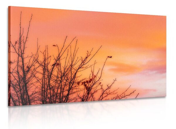 Tablou cerul colorat