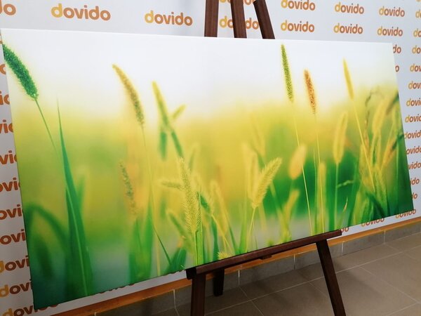 Tablou lama de iarbă în design verde