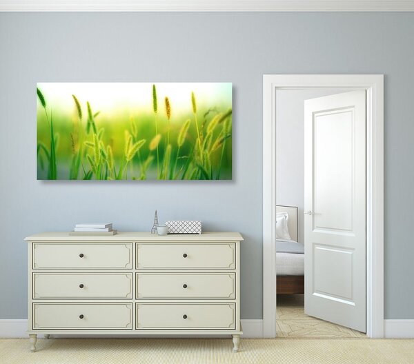 Tablou lama de iarbă în design verde
