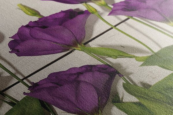 Tablou flori violete frumoase