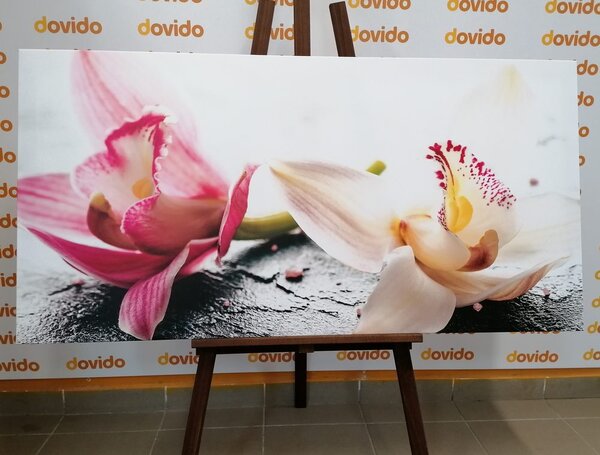 Tablou flori de orhidee