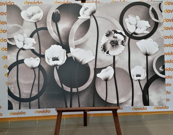 Tablou maci pe un fundal abstract în design alb-negru