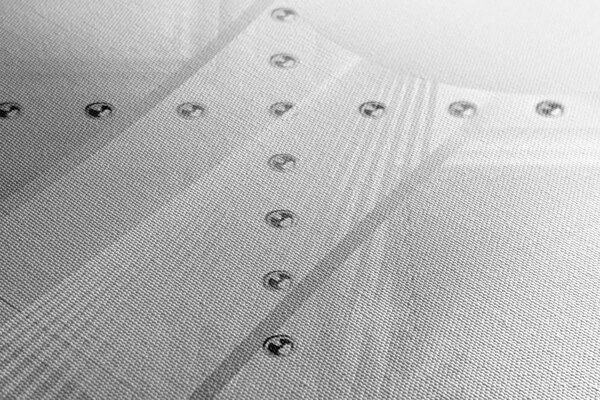 Tablou lux alb în design alb-negru