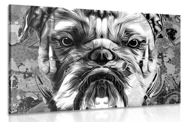 Tablou buldog în design alb-negru