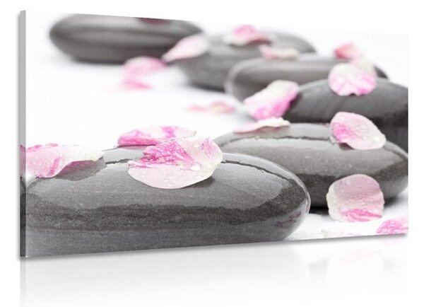 Tablou petale pe pietre de wellness