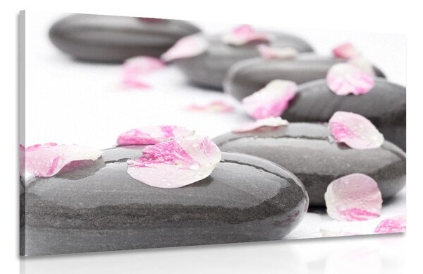 Tablou petale pe pietre de wellness