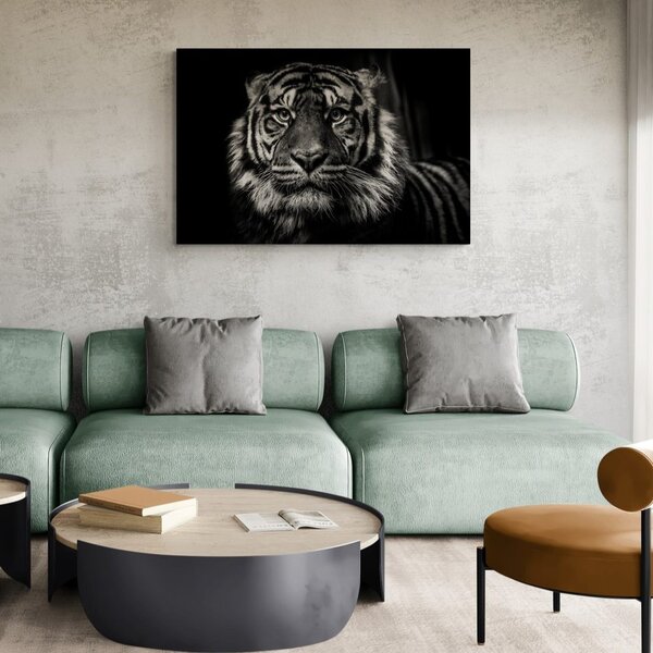 Tablou tigru în design alb-negru