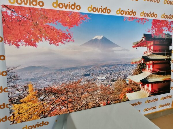 Tablou toamnă în Japonia