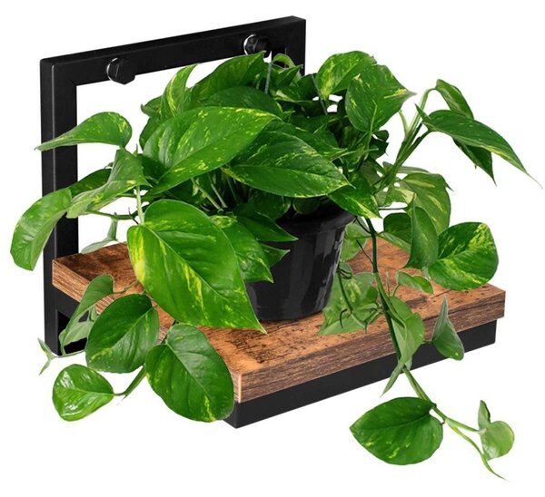 Suport de perete pentru plante, stil rustic, sarcina maxima 5 kg, otel si placa laminata 17,5x17,5 cm, culoare stejar