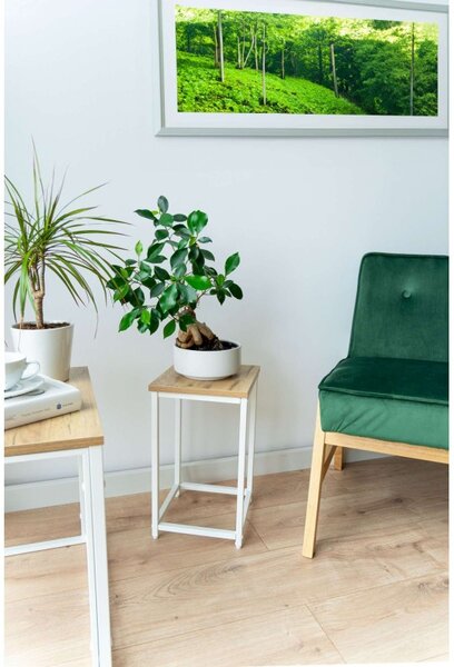 Suport metalic pentru flori, raft laminat in culoarea stejarului, maxim 10 kg, inaltime 42.5 cm
