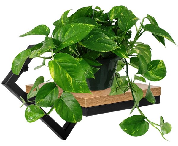 Suport suspendat pentru plante, Doron Craft, raft din lemn, cadru otel, 19x25.5x18.5 cm