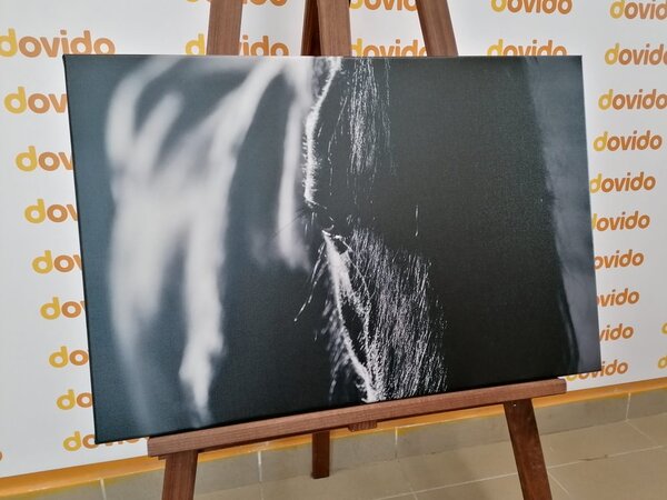 Tablou calul maiestuos în design alb-negru