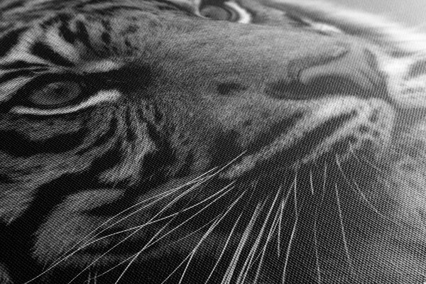 Tablou tigru bengal în design alb-negru