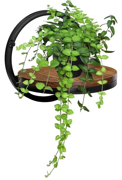 Suport suspendat pentru flori, Ebro Rustic, sustine maxim 5 kg, raft 26 cm, placa laminata, cadru otel