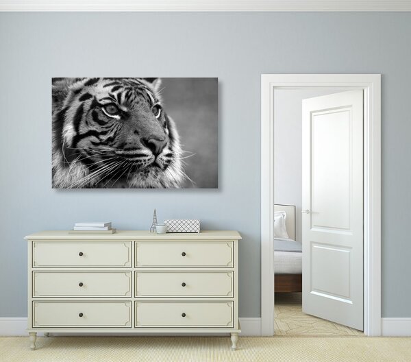 Tablou tigru bengal în design alb-negru