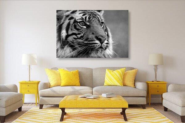 Tablou tigru bengal în design alb-negru