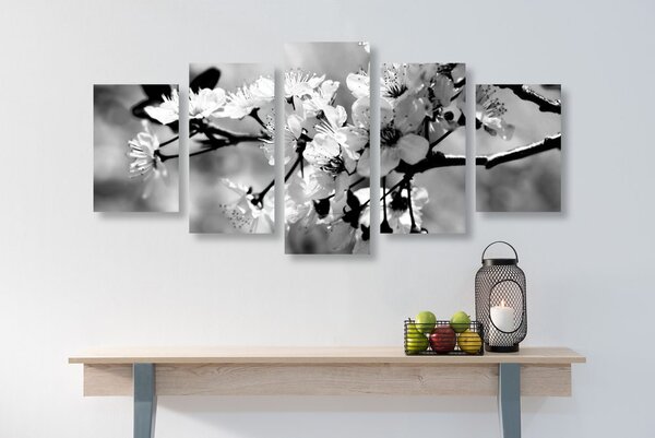 Tablou 5-piese floare de cireș în design alb-negru