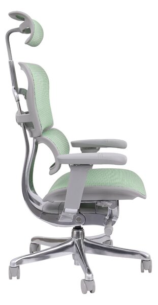 Scaun de birou Ergohuman 2 Elite GS Green