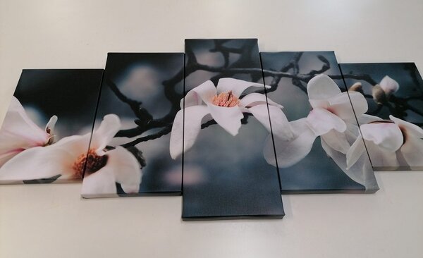 Tablou 5-piese trezirea magnoliei