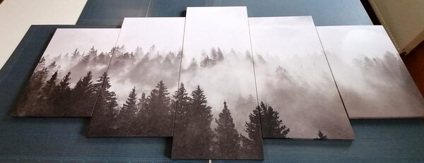 Tablou 5-piese ceață deasupra pădurii în design alb-negru