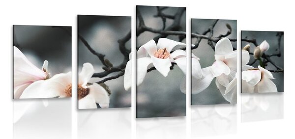Tablou 5-piese trezirea magnoliei