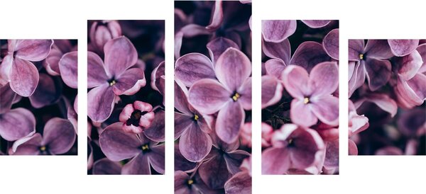 Tablou 5-piese flori violete de liliac