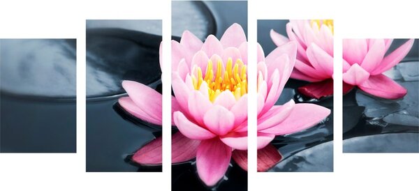 Tablou 5-piese floare de lotus în lac