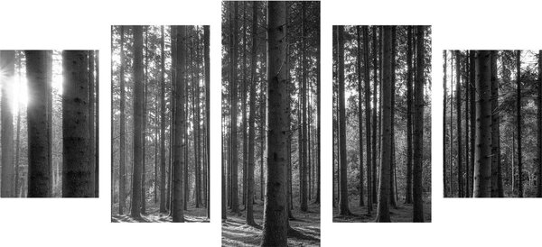 Tablou 5-piese dimineața în pădure în design alb-negru
