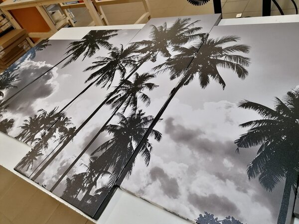 Tablou 5-piese palmieri de cocos pe plajă în design alb-negru