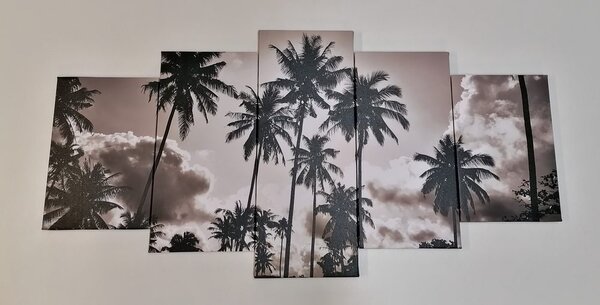Tablou 5-piese palmieri de cocos pe plajă în design alb-negru