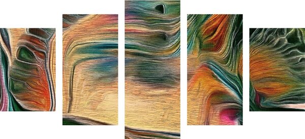 Tablou 5-piese abstracție psihedelică