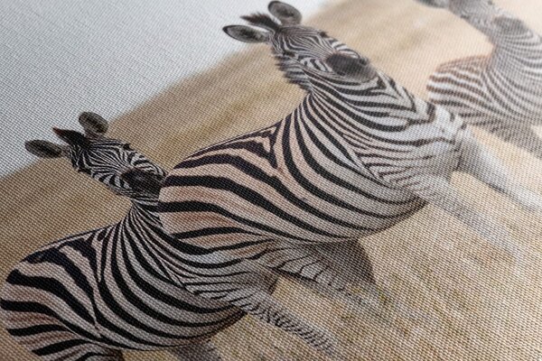 Tablou trei zebre în savana